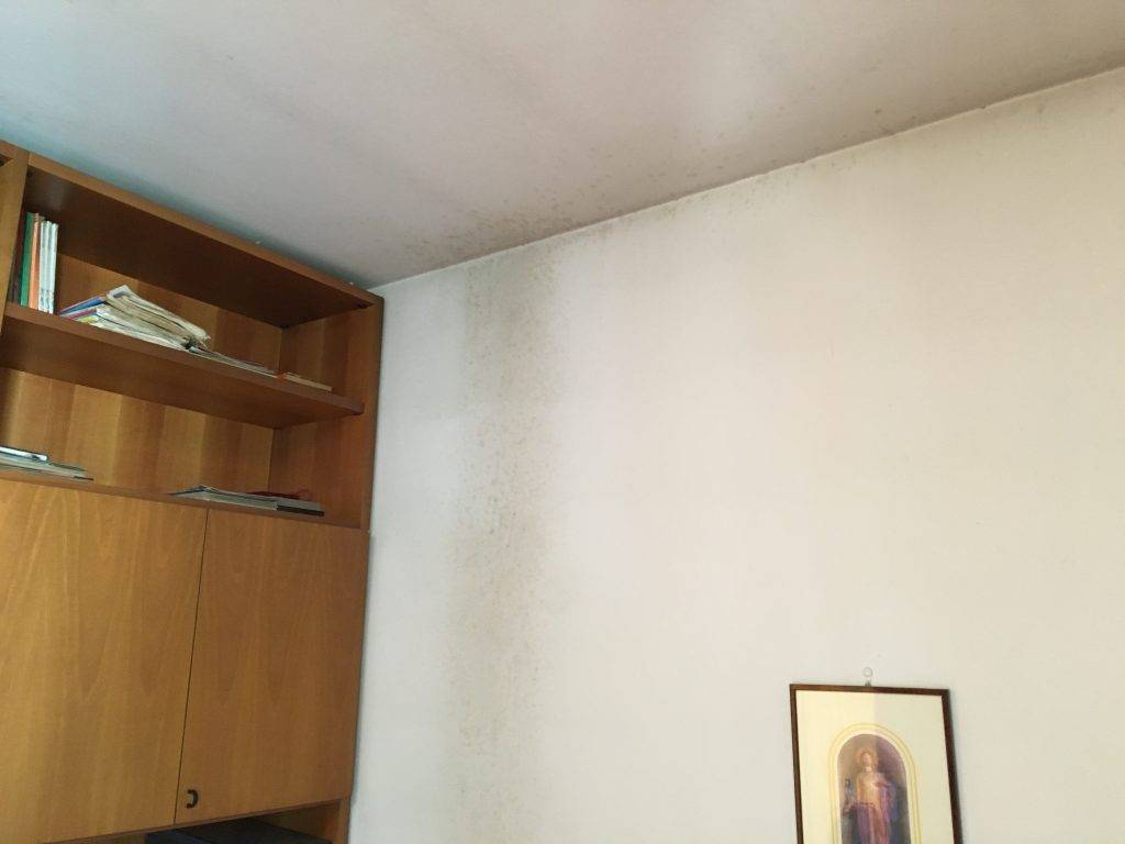 Cameretta - muffa su soffitto e parete