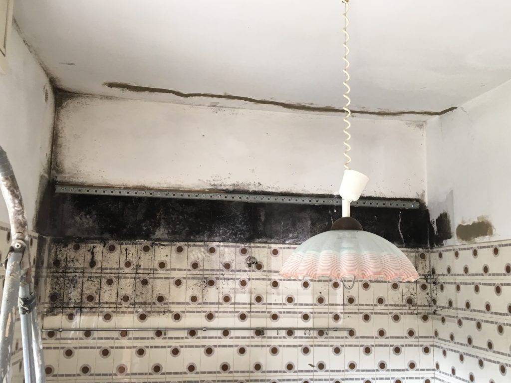 muffa sui muri della cucina