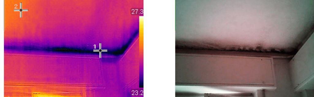 muffa termocamera 2