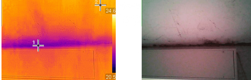 muffa termocamera 4