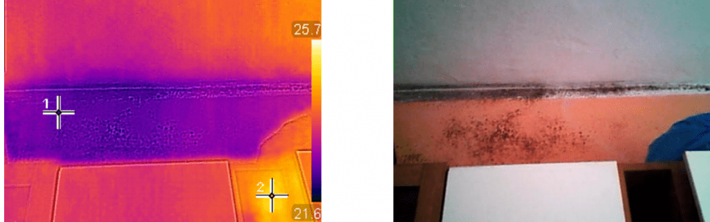 muffa termocamera 5