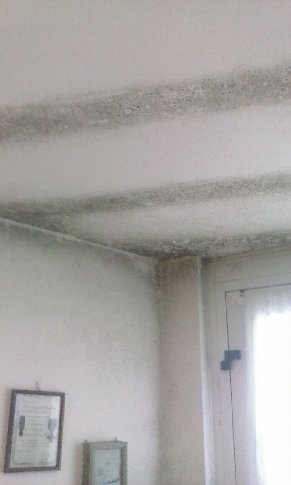Muffa sul soffitto : perchè si forma e come risolvere veramente Perchè si forma l umidità in casa