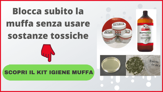 kit igiene muffa tra i trattamenti antimuffa kit igiene muffa tra i trattamenti antimuffa