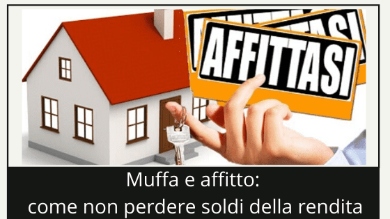 muffa e affitto