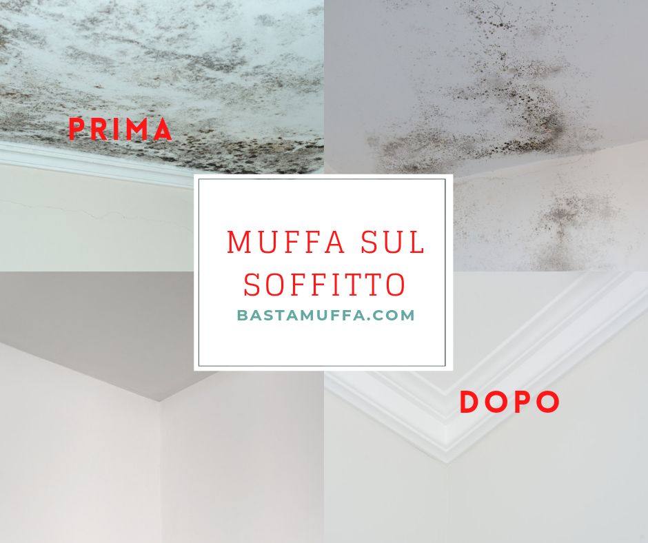muffa sul soffitto