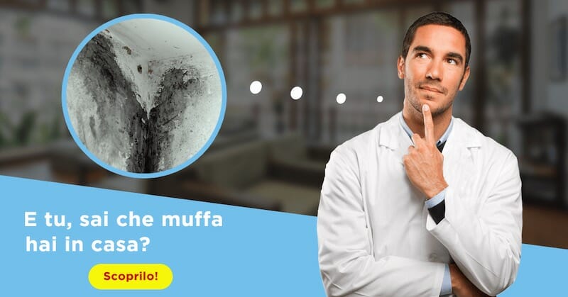 come eliminare la muffa