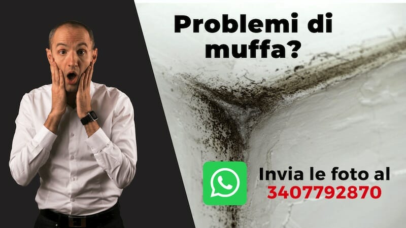 invia foto muffa