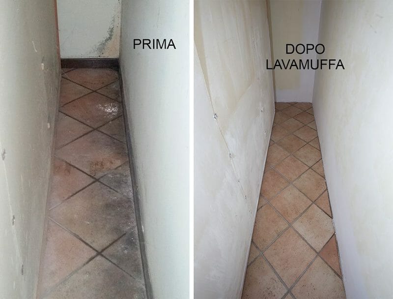pulire muffa pavimenti