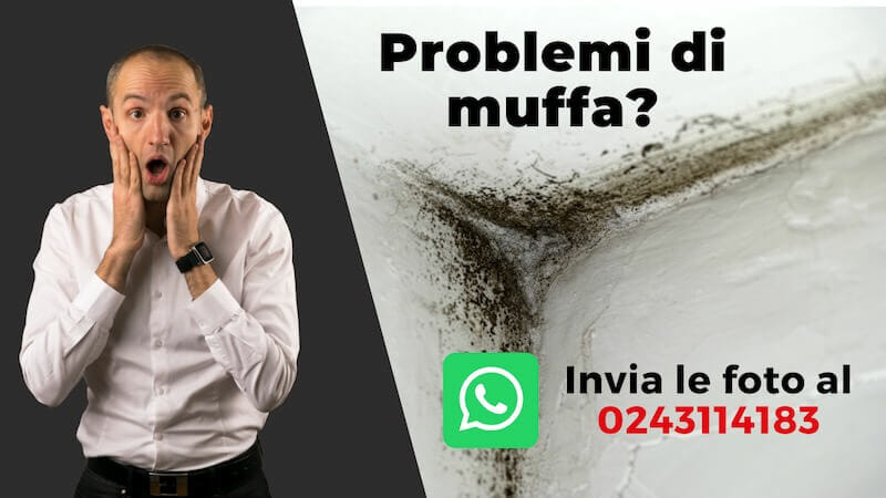 invia foto muffa