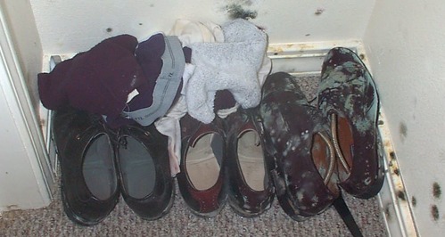 scarpe con muffa