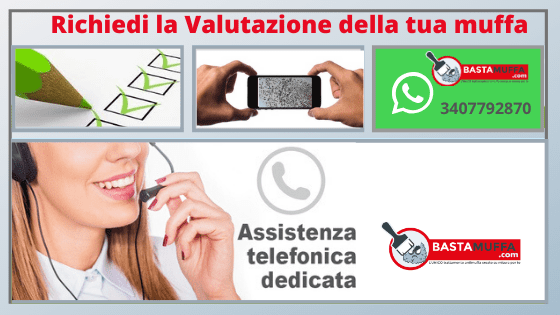 valutazione della muffa