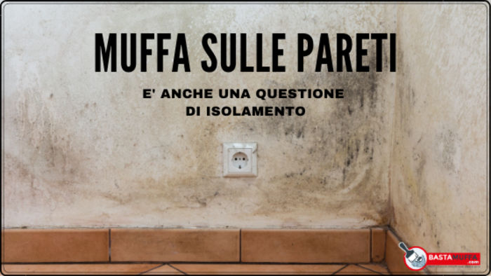 muffa sulle pareti