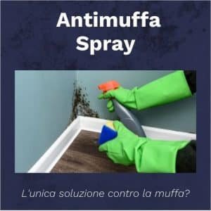 antimuffa spray