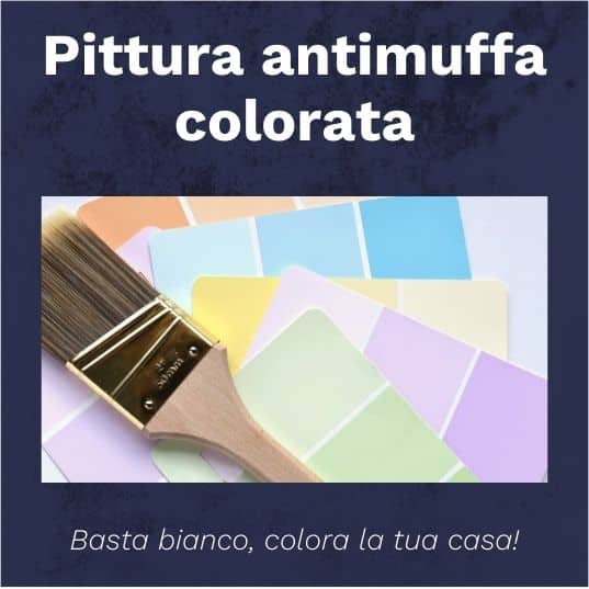 https://bastamuffa.com/wp-content/uploads/2020/06/vernici-antimuffa-colorate.jpg