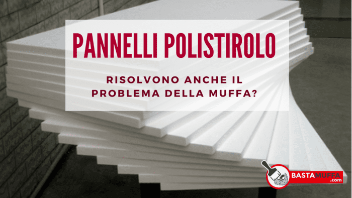 polistirolo per muffa