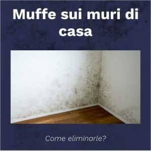 muffe sui muri