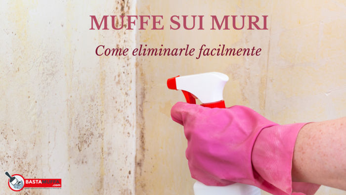 muffe sui muri un problema da risolvere subito