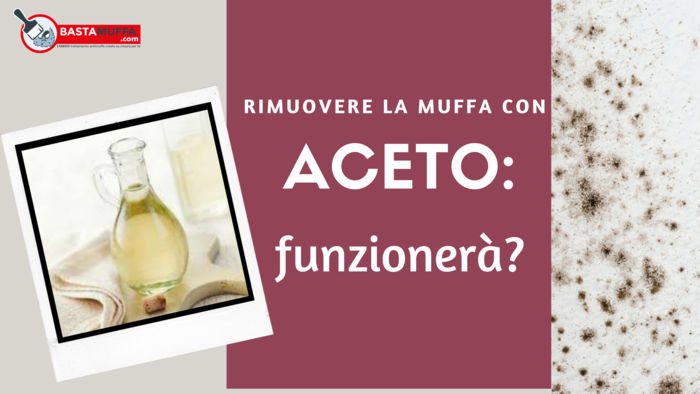 Togliere muffa dai muri: l’aceto può essere davvero efficace