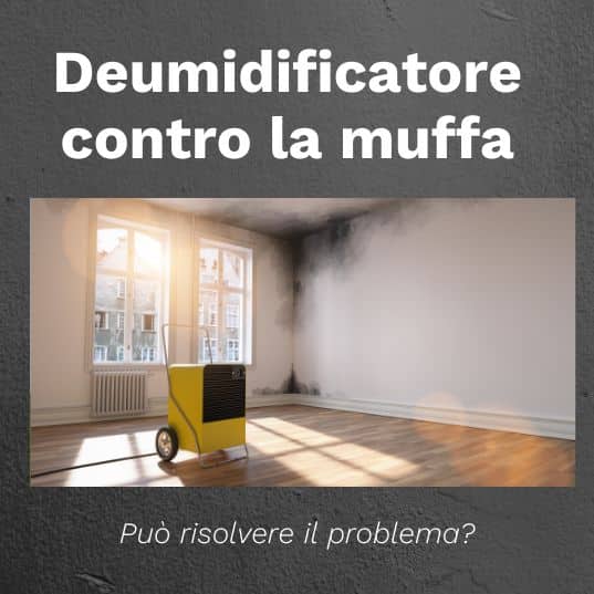 Deumidificatori vs Muffa: è la soluzione ideale per la tua casa?