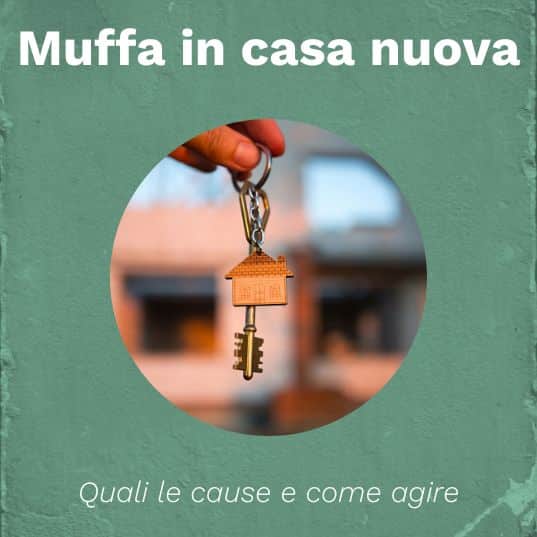 muffa in casa nuova