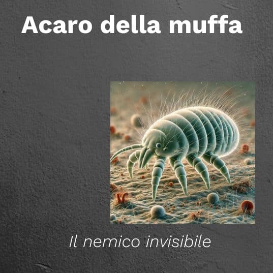 acari della muffa