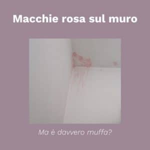 muffa rosa