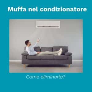 muffa nel condizionatore