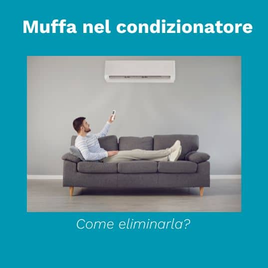 muffa nel condizionatore