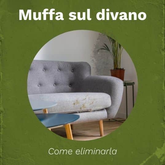 Muffa sul divano