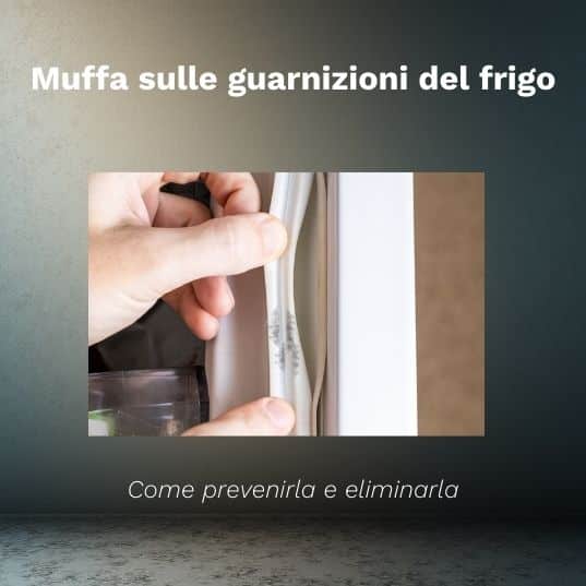muffa guarnizioni frigo