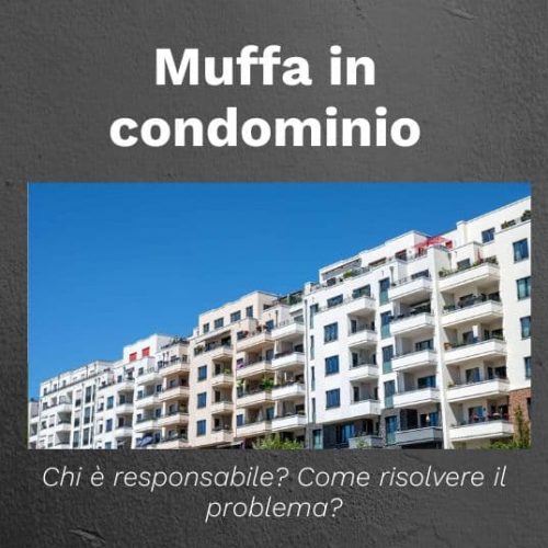muffa in condominio